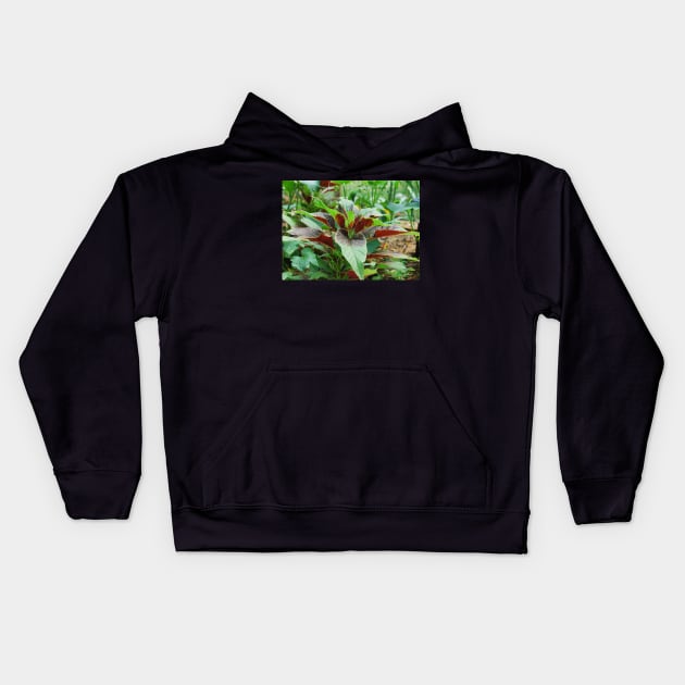 Amaranthus Tricolor Kids Hoodie by jojobob